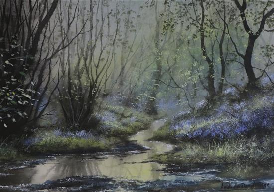Andrew Dandridge, watercolour with bodycolour, Bluebells by the stream, 27 x 37.5cm
